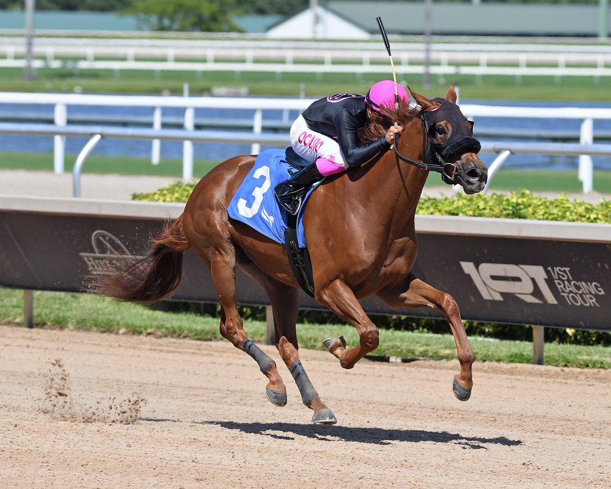 Calling the Shots romps in the 5th race, Jonathan Ocasio aboard for trainer and owner <a href="/hlynnsm/">Heather Smullen</a>. #GulfstreamPark #SunshineMeet