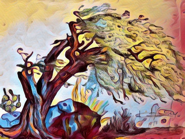 Bonbini55's tweet photo. Art of the Day! "Aruba Divi Divi Tree". Buy at: https://t.co/atHNqiwpJ2 https://t.co/ctFMRNVlRM