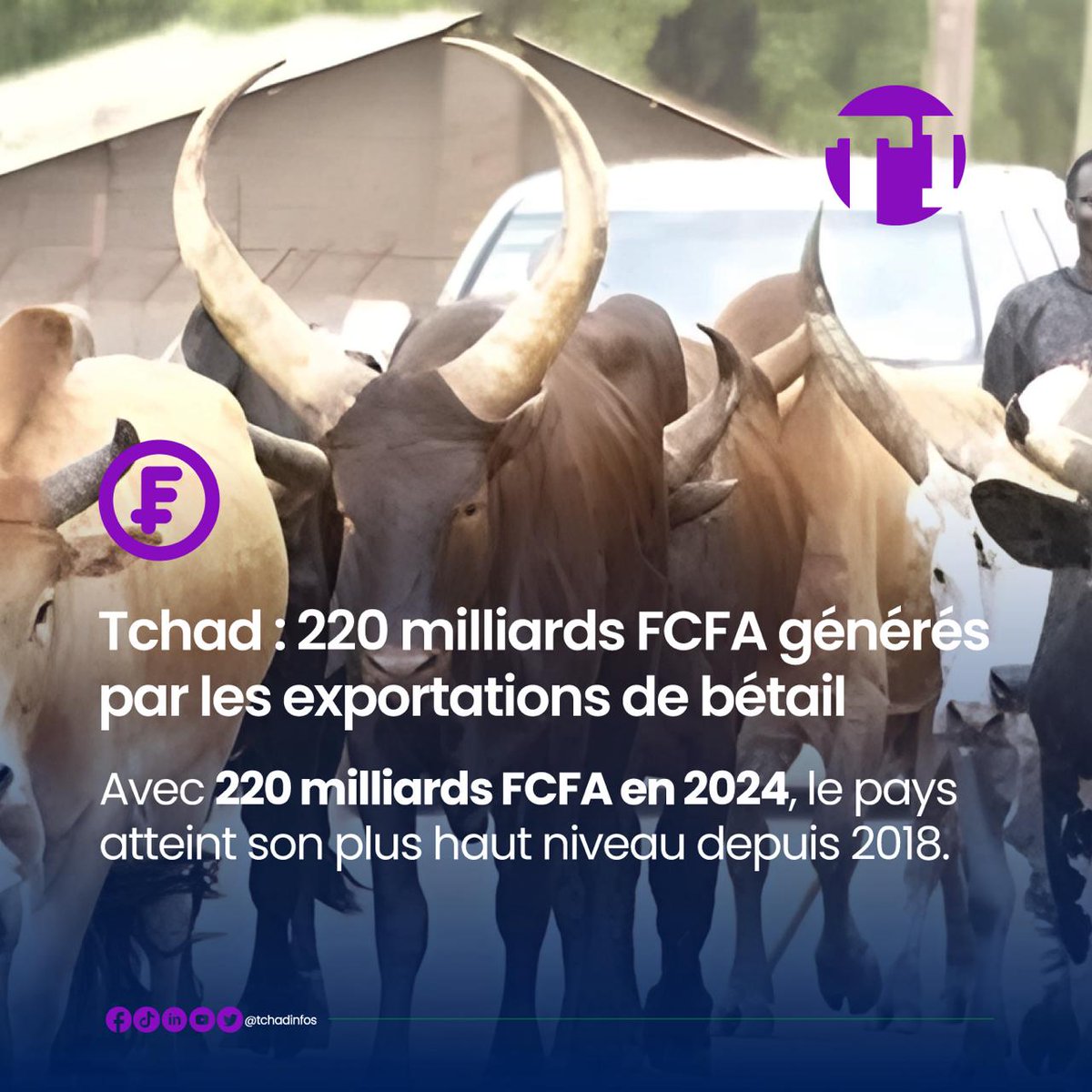 tchadinfos tweet picture