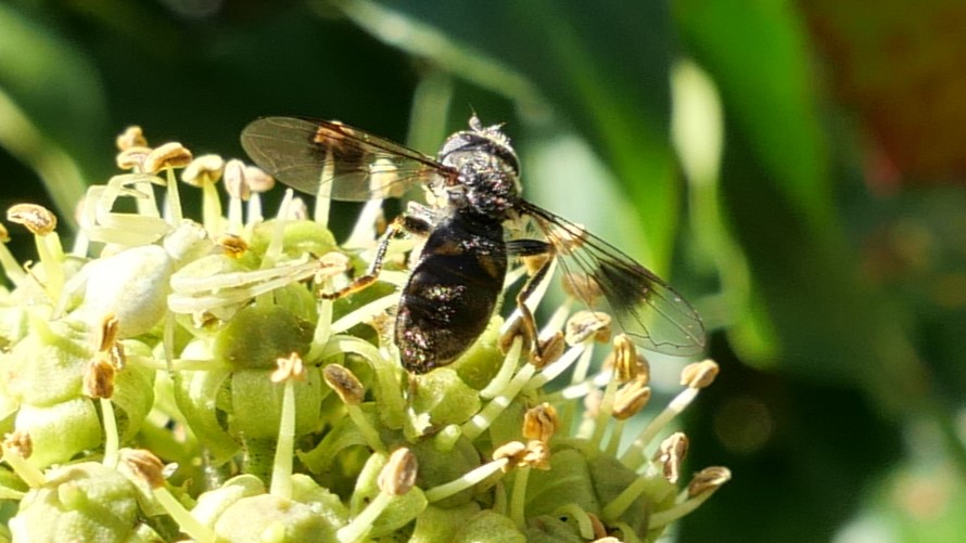 Simon Knott tweet media