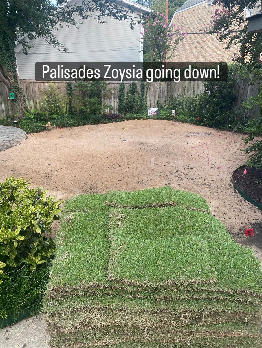 Victory_Turf's tweet image. Palisades Zoysia going down on this mildly shady lot. A previous contractor installed Bermuda for some reason and it struggled mightily. Although some will disagree, we find that we have great success with late summer and fall installs.