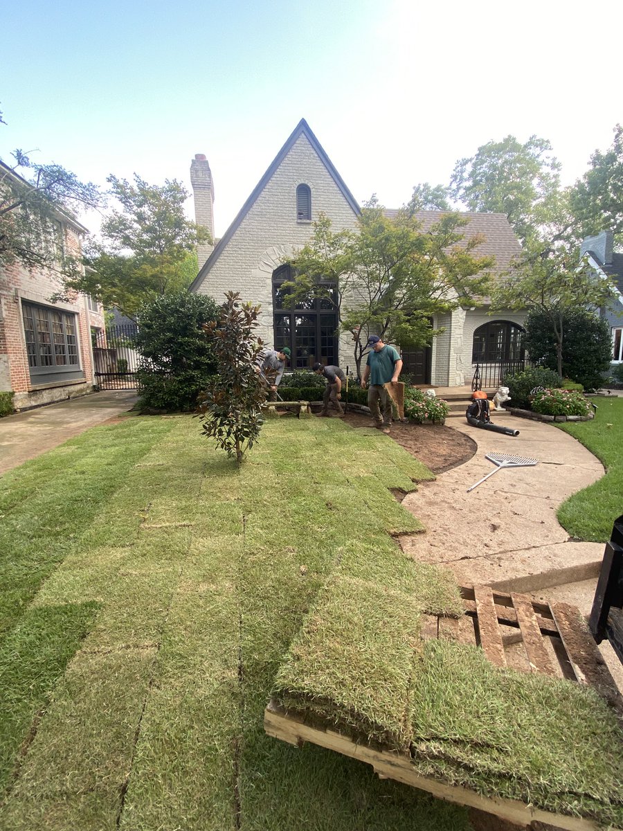 Victory_Turf's tweet image. Palisades Zoysia going down on this mildly shady lot. A previous contractor installed Bermuda for some reason and it struggled mightily. Although some will disagree, we find that we have great success with late summer and fall installs.