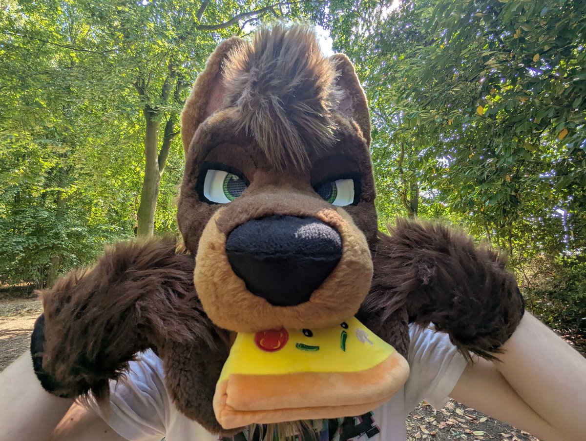 He's stolen your food but he thinks he looks cute 
📸 <a href="/GremTheWolf/">🐾 Grem 🐾</a>
#fursuit