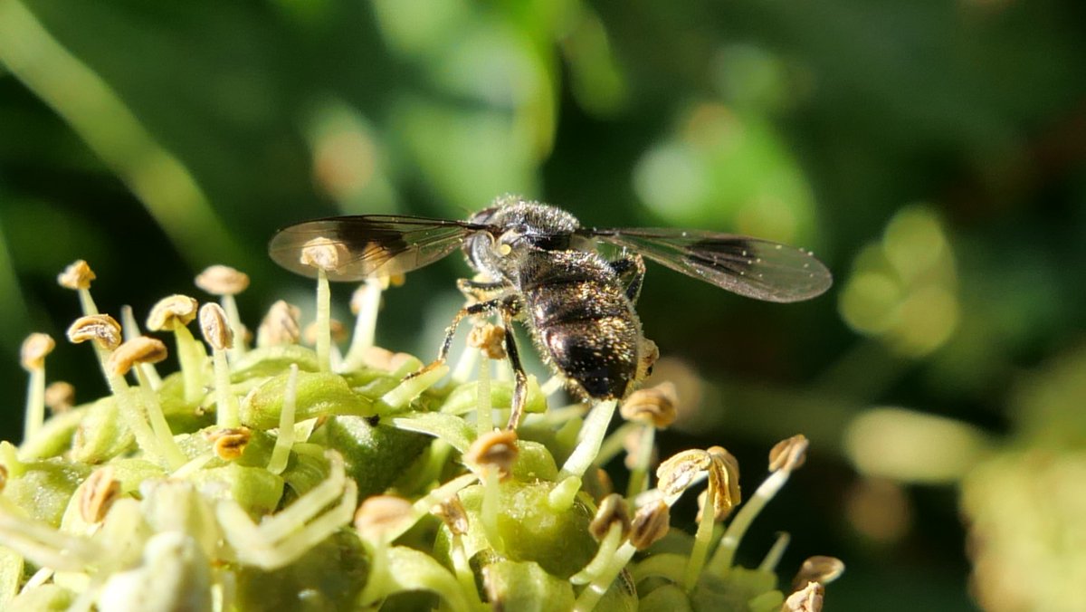 Simon Knott tweet media