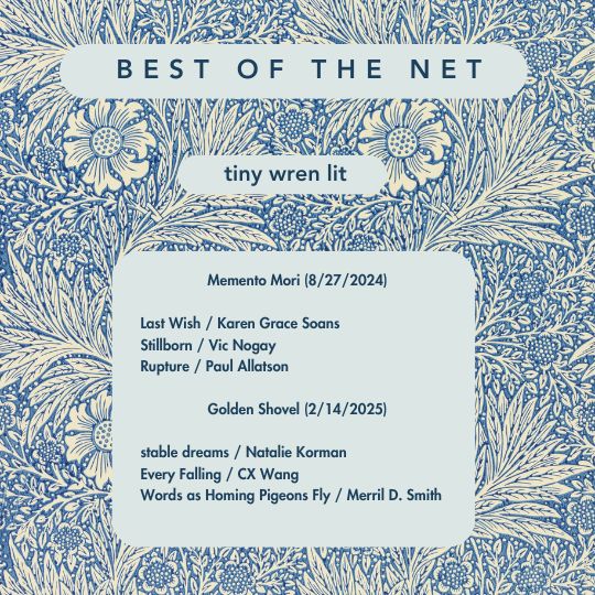 Congratulations to our Best of the Net nominees!