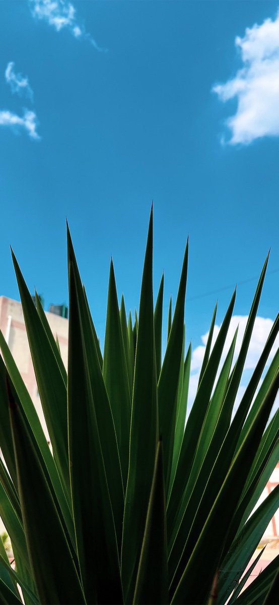 Ahmadansari2233's tweet image. This is a Big Reason Why i love #iOS26