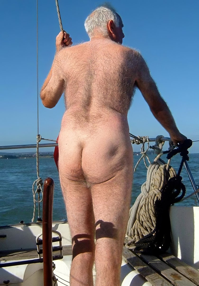 Arctic Bear Cub tweet media