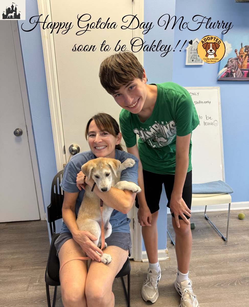 codarnj's tweet image. From your friends at Castle of Dreams Animal Rescue NJ.

We are happy to announce the adoption of one of our pups Mcflurry! We hope that he has a wonderful life with his new loving family. At CoDARNJ, we hope to have more moments like this.

#codarnj #adoptdontshop