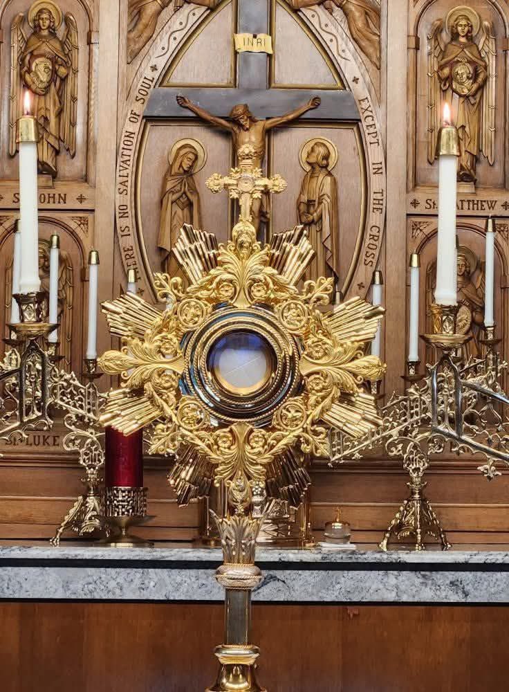 The exorcist of the diocese of Rome, Father Gabriele Amorth, managed to obtain in his countless exorcisms some disturbing phrases related to the Eucharistic Adoration. These words, torn from demons, reveal the extraordinary power of being in the presence of the Holy Sacrament.