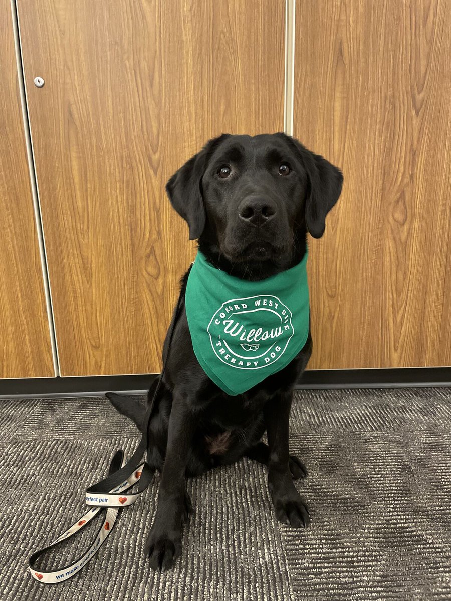 Concord_WS's tweet image. Willow Week psqr.io/aR5rkDkdGa via @ParentSquare