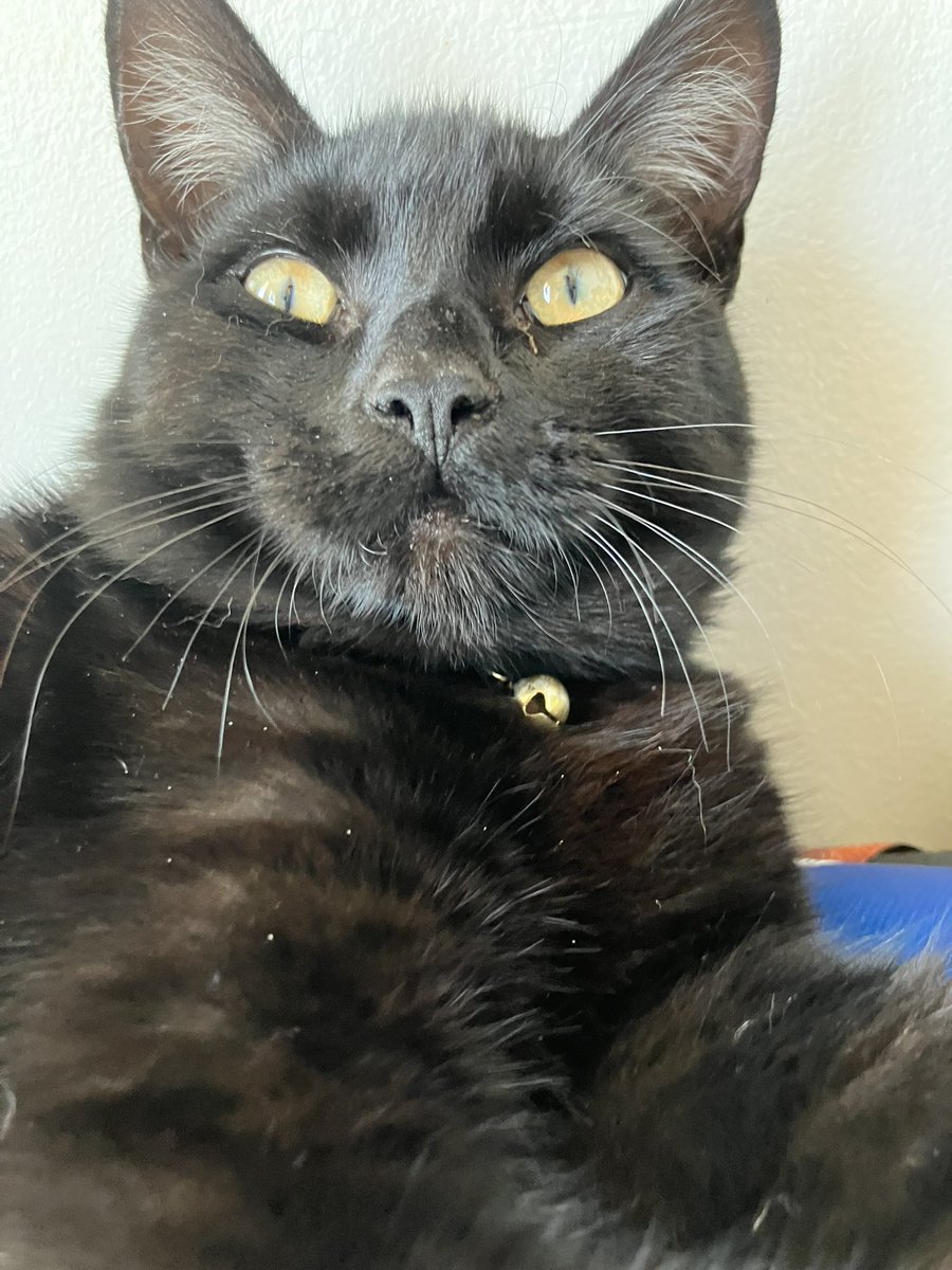 The face of a guy who dosnt know he’s about to get his nails trimmed