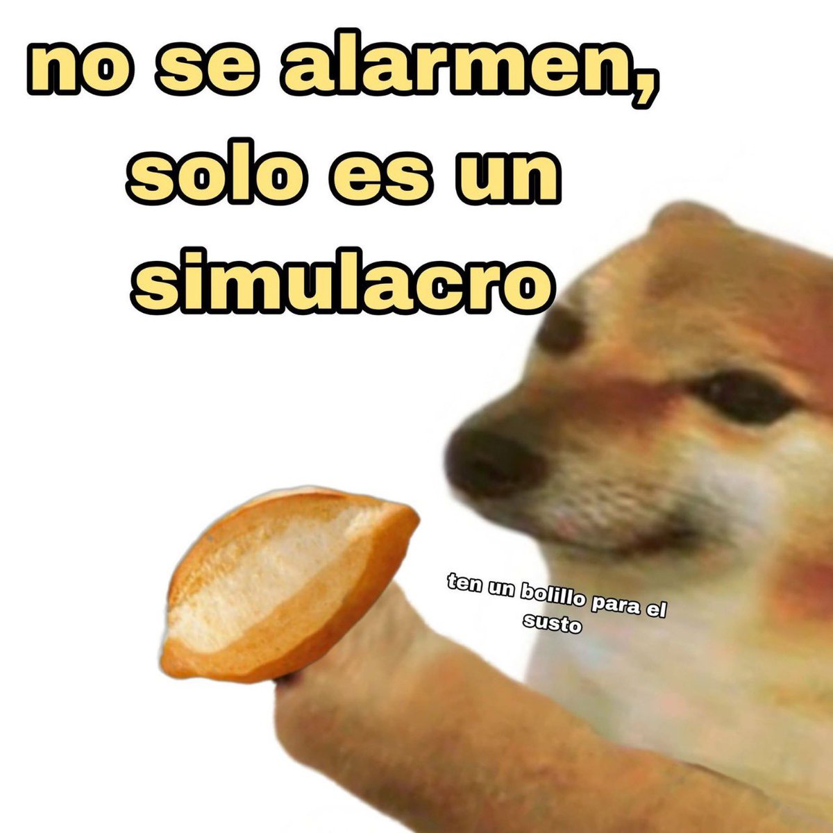 💜 v a l p i k i 🦄 (@valeriamalpica_) on Twitter photo 