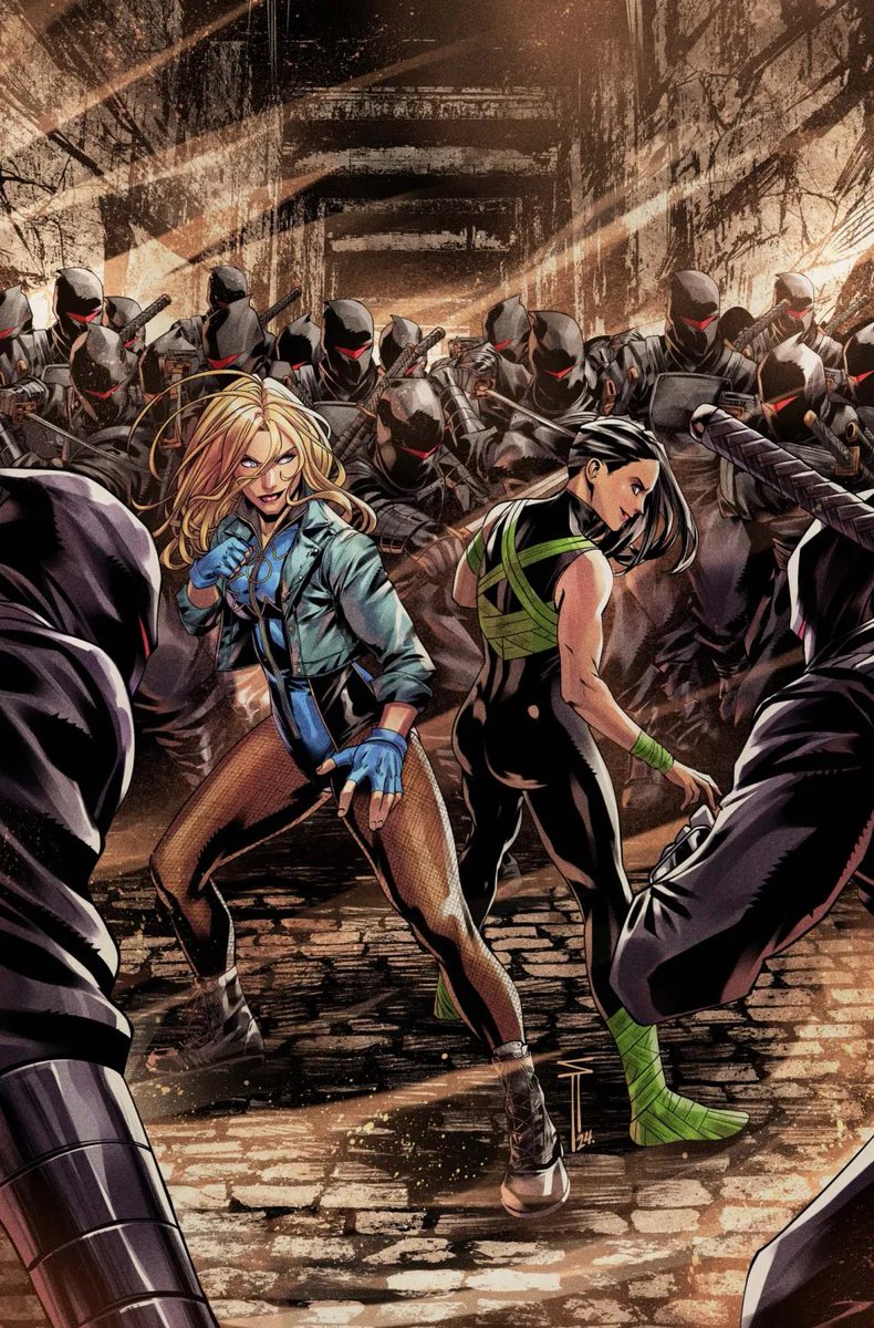 Sabemos que mesmo com Birds of Prey acabando a Canário Negro vai continuar aparecendo, minha preocupação é a Sin Lance.

Espero que a DC não a jogue na geladeira, não adianta a trazer de volta e desenvolver a personagem se ela vai ser esquecida depois de BOP acabar.