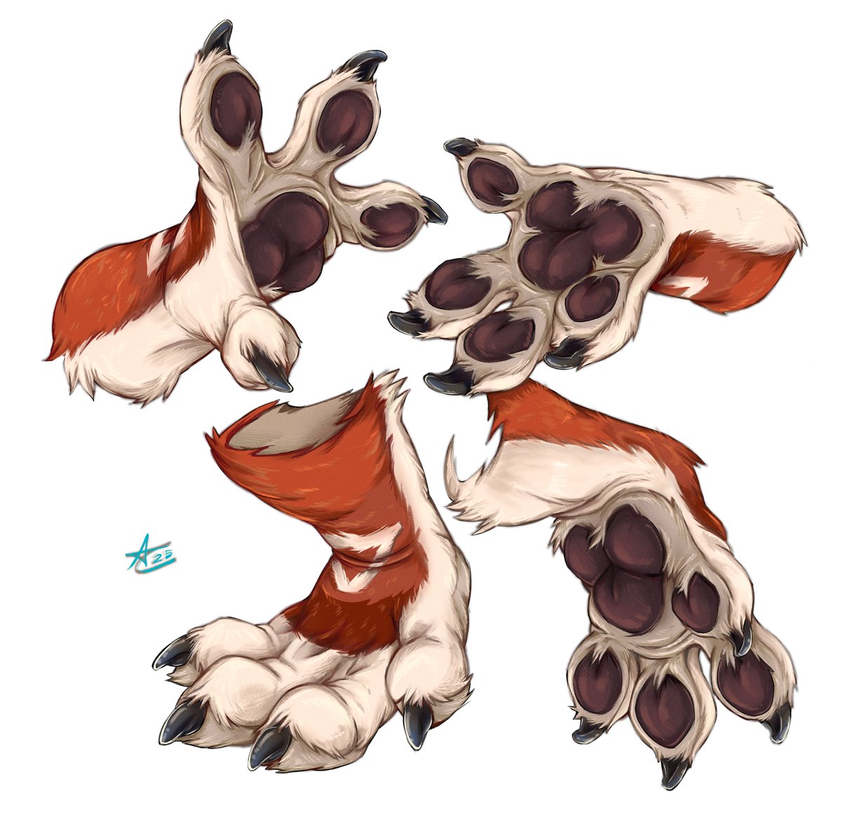 Aricat98's tweet image. fluff hand paws