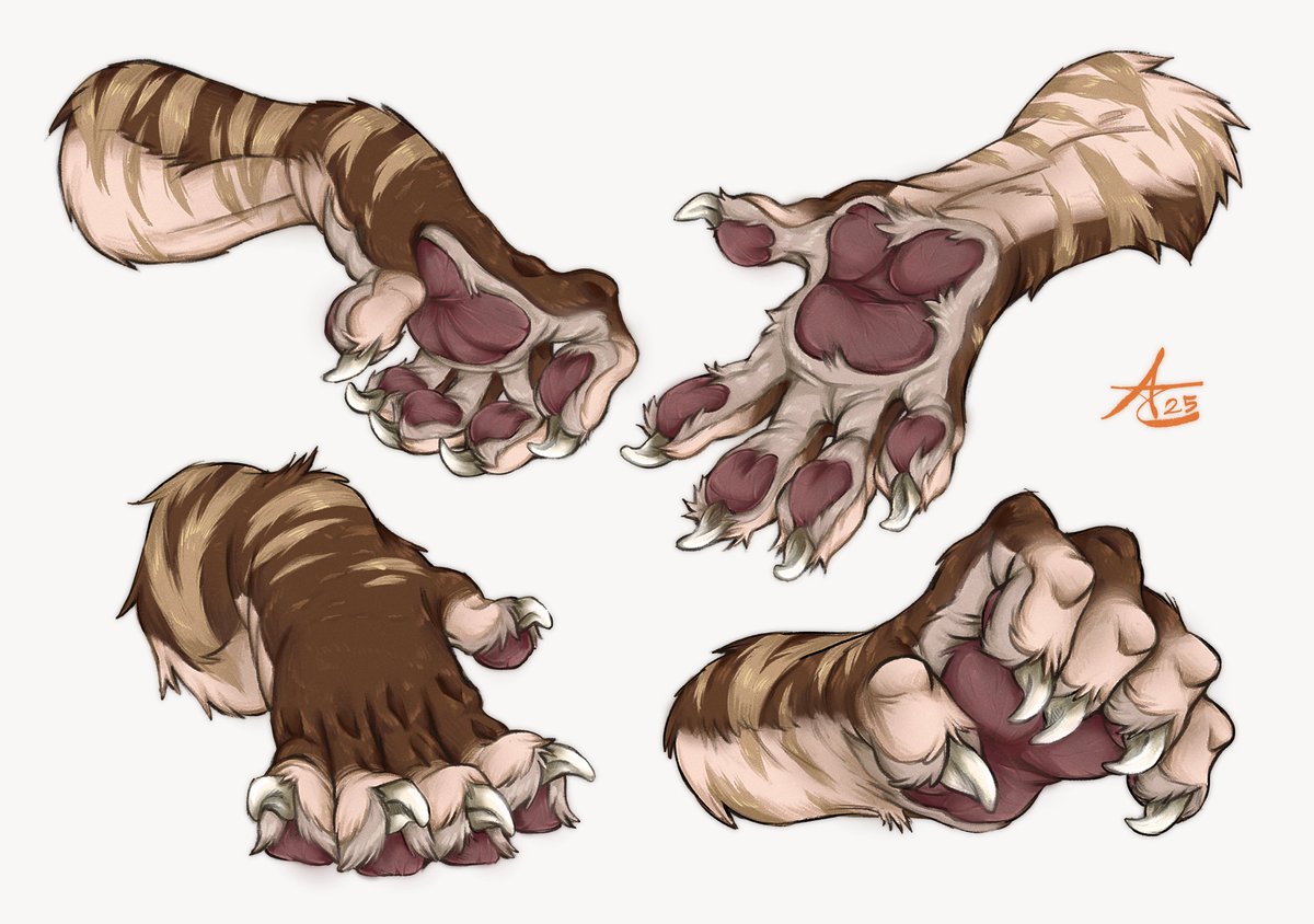 Aricat98's tweet image. fluff hand paws