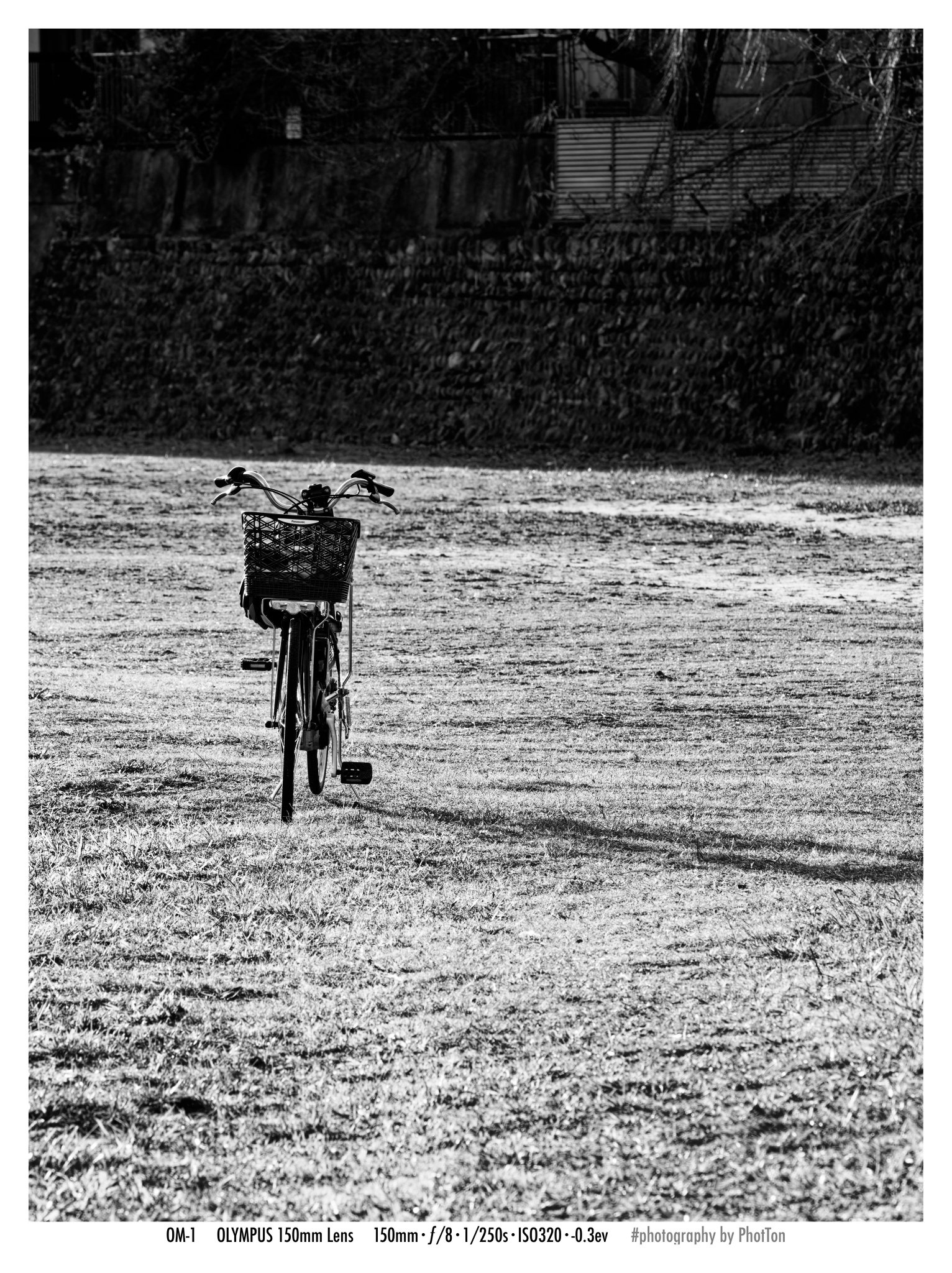 なつのフォトグラム集First Amazon.co.jp: Hayato Nakamura FIRST PHOTO BOOK Photo