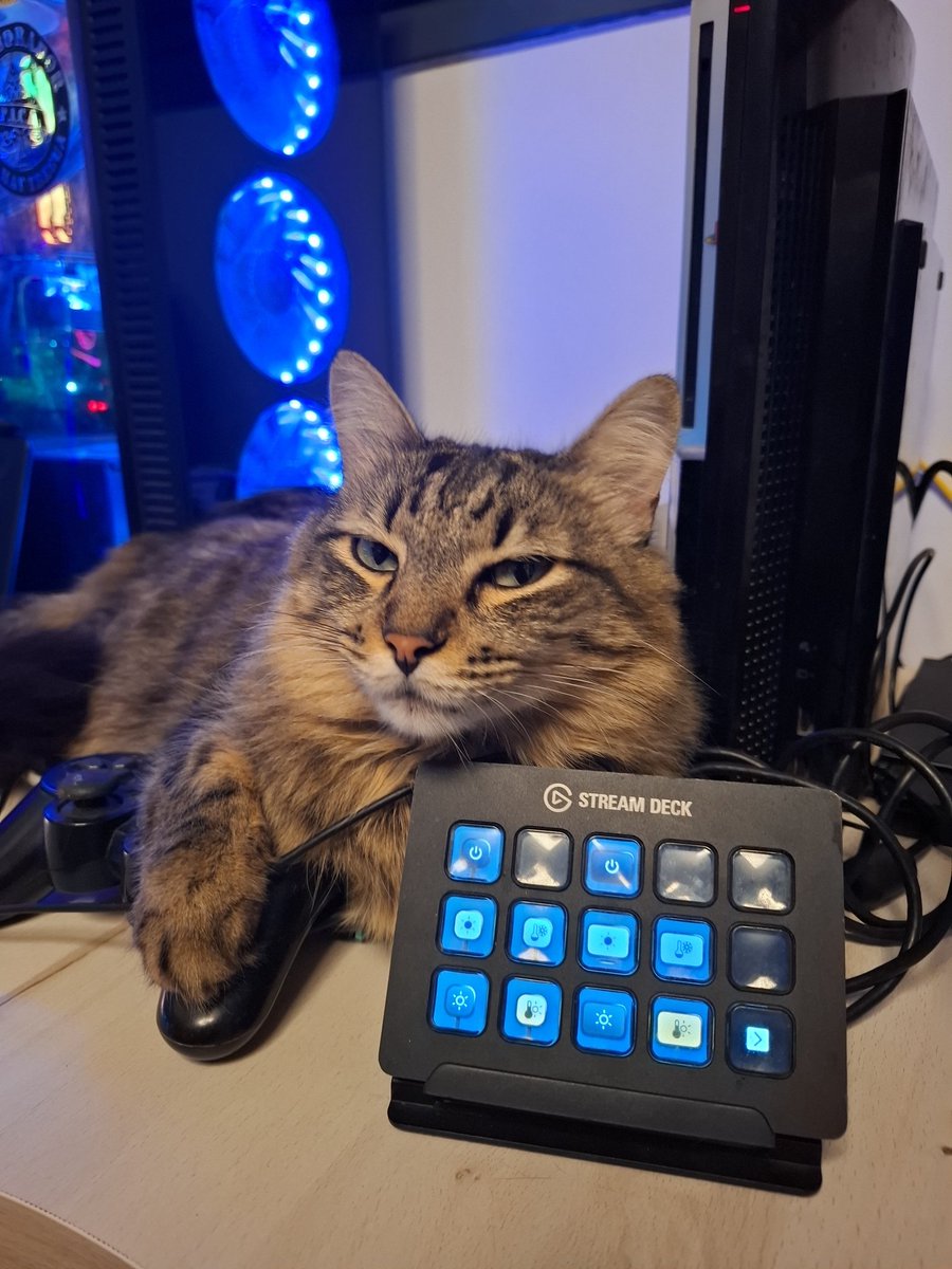 Rick, tu gato gamer de confianza 🤣 <a href="/elgatoES/">Elgato ES - LATAM</a>