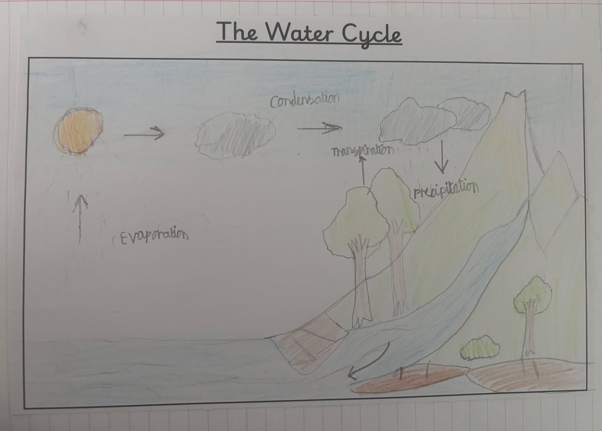We began our #GCPGeography topic, ‘rivers’ by exploring the water cycle. We had fun watching videos, learning a song and then completing a directed draw to show how the cycle works! 💧 <a href="/PrimaryGreat/">Great Coates Primary</a> #DelightAndJoy