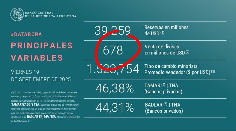 va a ser hermoso hacer un puente, de verdad, todo para vos