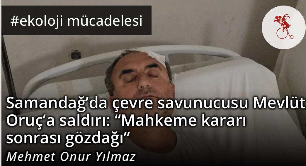 Samandağ’da Çevre Savunucusu Mevlüt Oruç’a saldırı: “Mahkeme kararı sonrası gözdağı"
📰 solfasol.tv/samandag-da-ce…
▶️ youtu.be/ic_Q7ftX2b8 
📌Hatay’ın Samandağ ilçesinde Gürkal Beton Santrali’ne karşı yıllardır süren hukuk mücadelesinin öznelerinden çevre savunucusu Mevlüt Oruç,