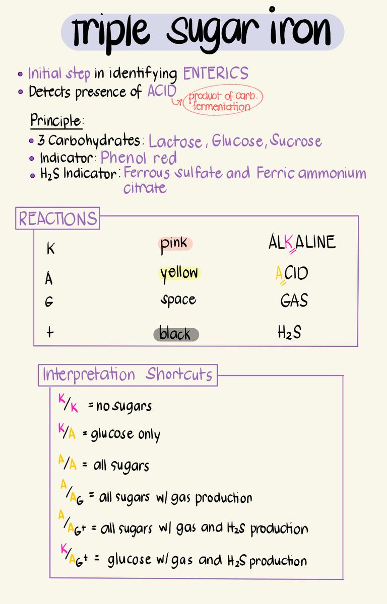 M6: MICROBIOLOGY AND PARASITOLOGY

📍 𝗚𝗥𝗢𝗪𝗧𝗛 𝗢𝗡 𝗖𝗢𝗠𝗣𝗟𝗘𝗫 𝗠𝗘𝗗𝗜𝗔

𝙏𝙍𝙄𝙋𝙇𝙀 𝙎𝙐𝙂𝘼𝙍 𝙄𝙍𝙊𝙉

#PHLE #studytwt #phartwt #pharmacy