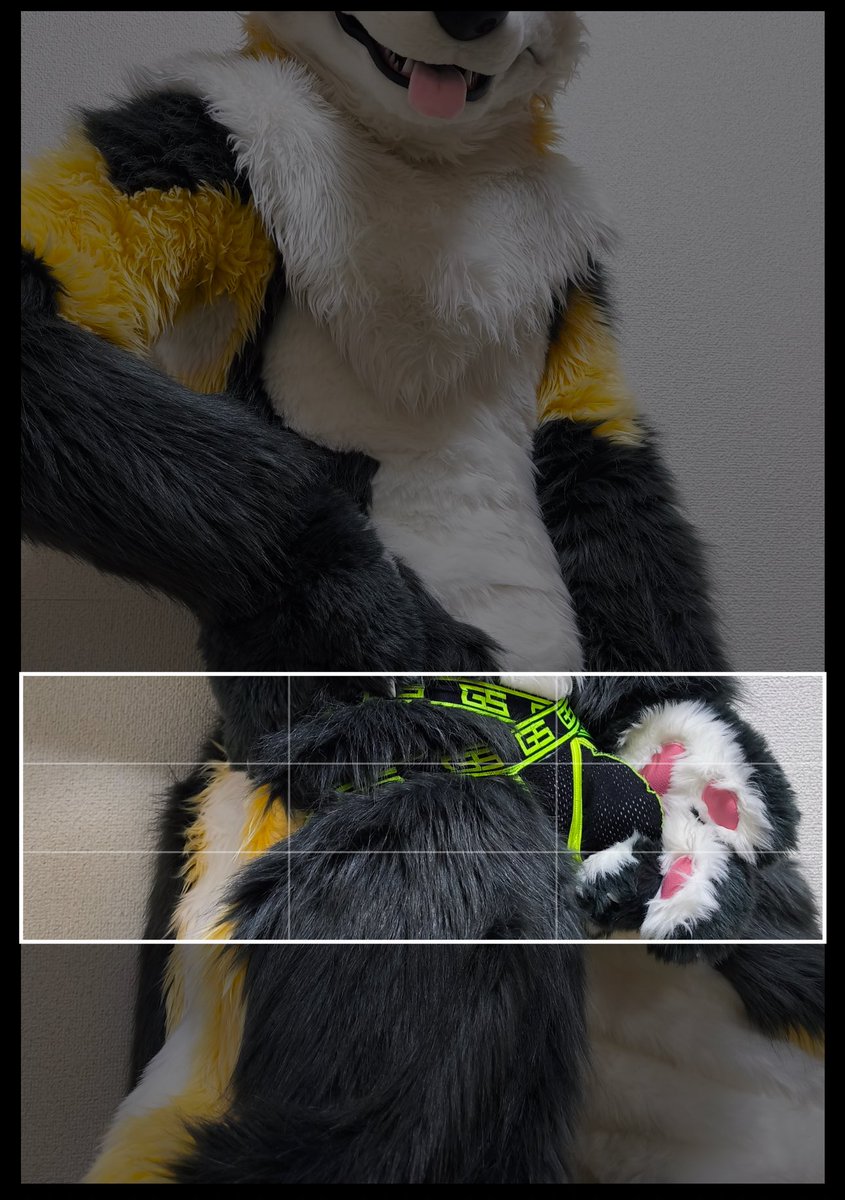 hozuKa_AD (@hozuka_ad) on Twitter photo 