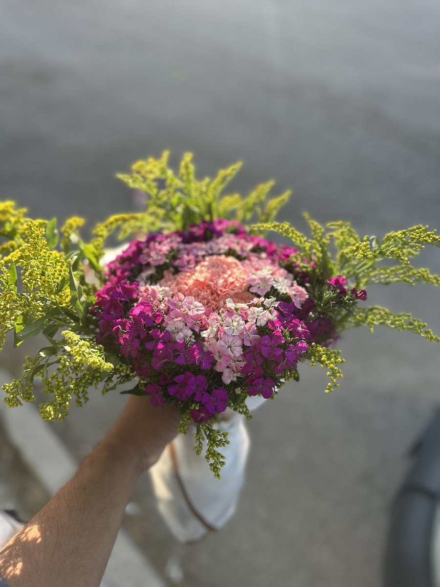 lasthero6's tweet photo. Çiçek bizim işimiz 💐😎
#Karanfil 
#Barbatus
#Solidago 
#CutFlowers https://t.co/WFlz9Ro7Jv