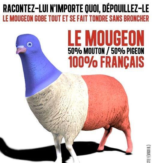 ONPPDC1's tweet photo. @MLP_officiel D'une manière générale la France est le pays du RACKET FISCAL, dans toutes les branches le pays le plus taxé du monde, et pour quels résultats. Services public inefficace , insécurité, état à l'agonie bref, pauvre France https://t.co/BEBpIwvokv