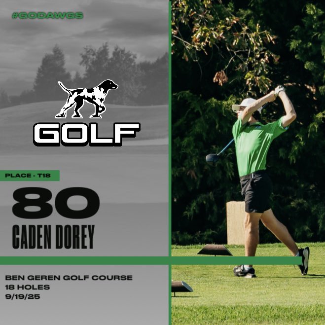 VBPointerGolf tweet media