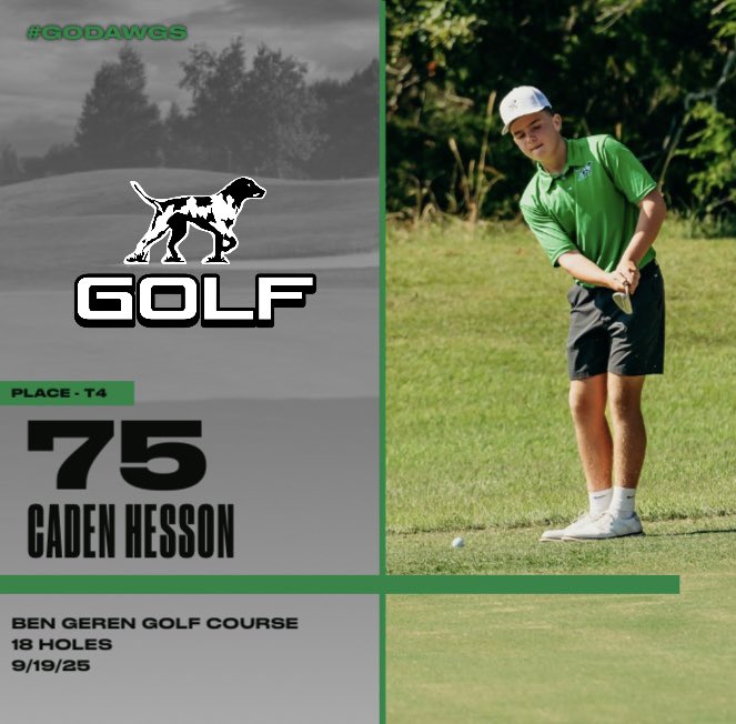 VBPointerGolf tweet media