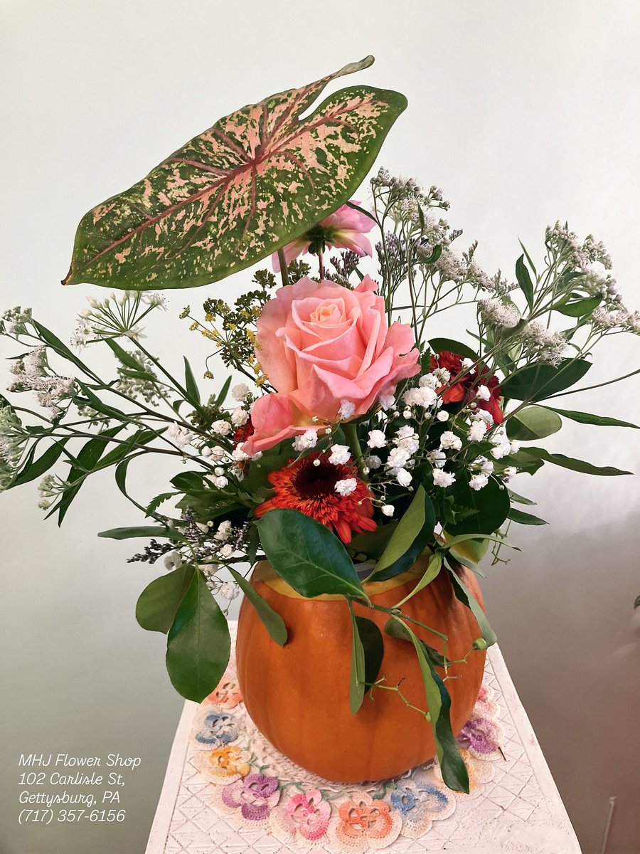 MHJGardenDesign's tweet photo. While lovely pink #roses and soft #babysbreath are delightful additions to this pumpkin vase, the star🌟of the show is the eye-catching #caladium leaf thoughtfully positioned just-so in this signature #MHJFlowerShop floral design. 🌱💐
#foliage #variegatedplants #flowersonfriday https://t.co/9hVkovcNfU