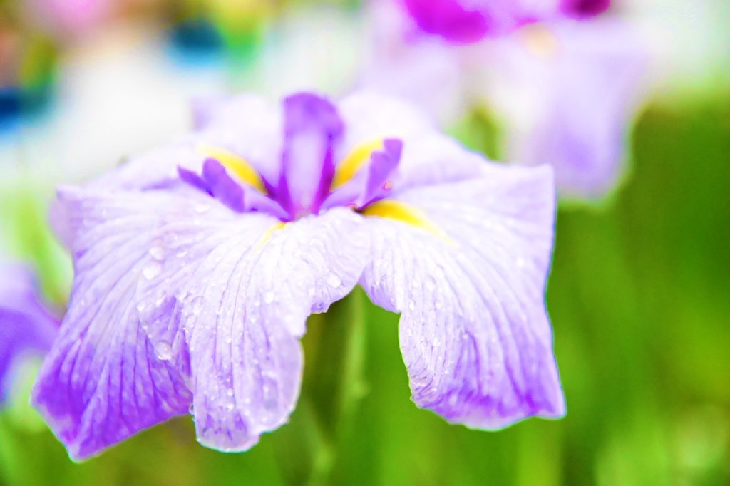 ようやく今日のお仕事が終わった🙌🙌🙌

鍼にも行ったので、本日は休酒。

今自分に出来ることってなんだろうとか
今の自分が求めてることって何かなとか

色んな考えを巡らせながら仕事をしてました。

何にしてももっと耳良くなりたい👂ｸｨ

おやすみなさい🌙* :ﾟ