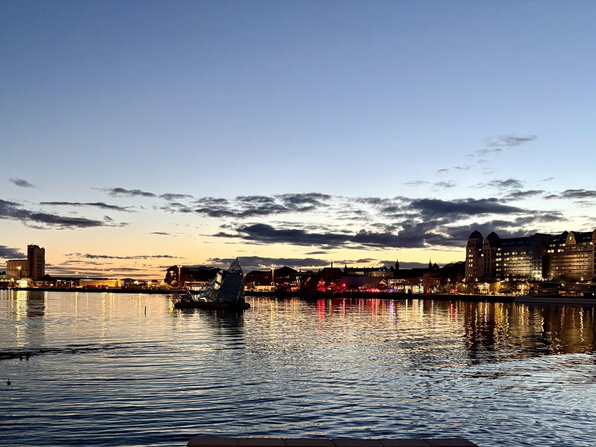 Presenting #Green #DualClass #Shares at #EALE 2025 in Oslo

#LawAndEconomics #LawAndFinance