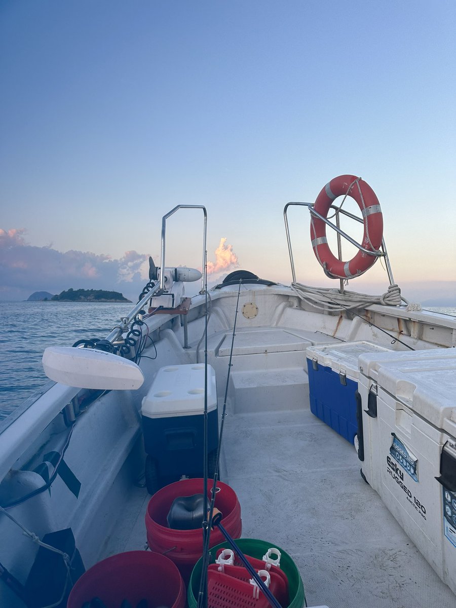 Daiquiri深圳DN tweet media