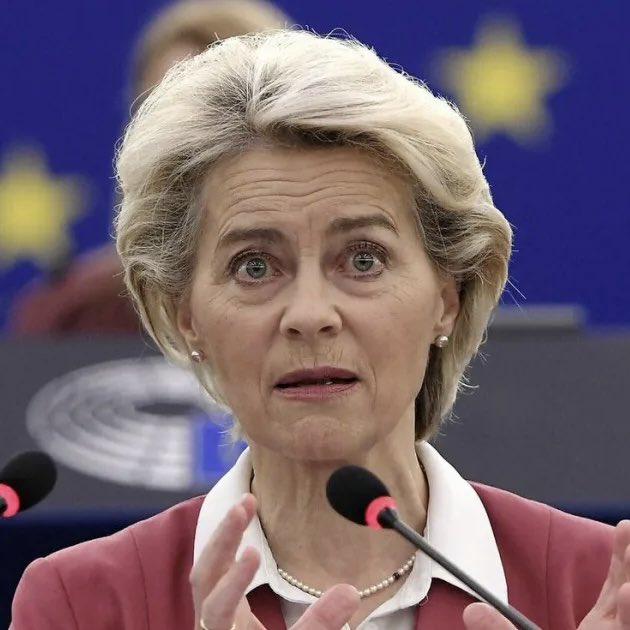 runews's tweet photo. #FastFact: Europe cannot function without Russian energy. 

Don’t listen to Ursula with her fake news and her fake blond hair. 

EU nations are still importing Russian gas — and they will continue to do so. 

Among them are Belgium, France, Greece, Hungary, the Netherlands, Portugal, Slovakia, and Spain.
