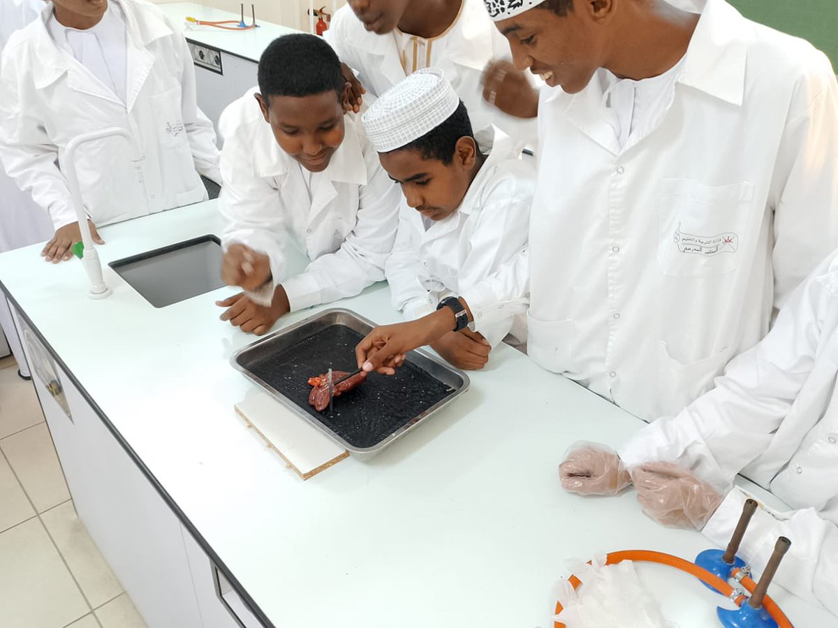 EduGovMct1202's tweet photo. في إطار تطبيق الجانب العملي لمقرر الأحياء نفذ طلبة الصف العاشر نشاطًا عمليًا في مختبر الأحياء بعنوان تشريح القلب، حيث تعرفوا على تركيبه ووظائفه من خلال الملاحظة المباشرة والتطبيق العملي، مما عزز فهمهم للدروس النظرية.

#فعاليات_تعليمية_مسقط 
#تعليم_مستدام 
@Mctlabd https://t.co/e6OsLCoTaJ