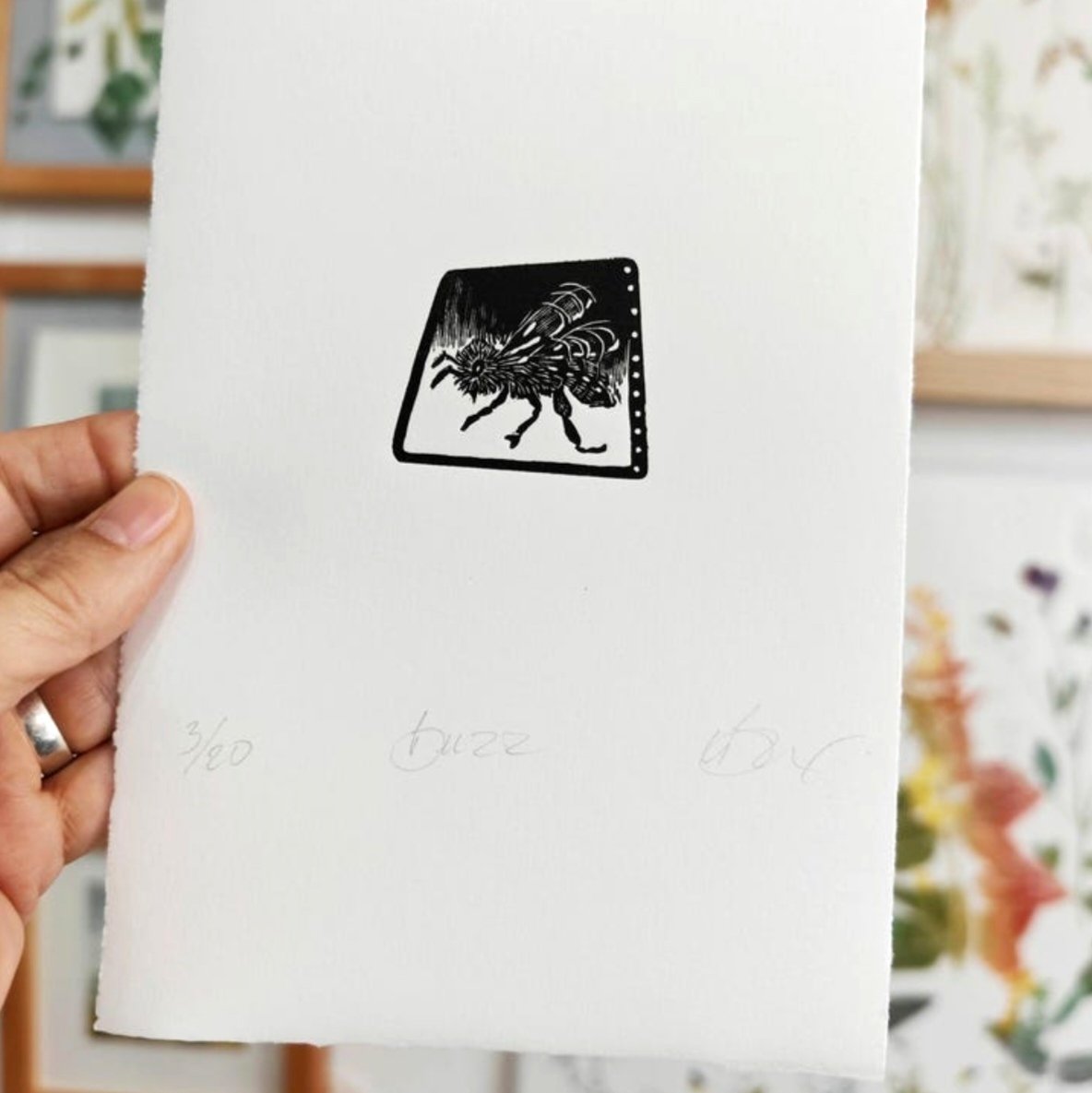 Lynn Bailey tweet media