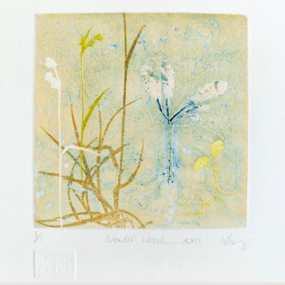 Lynn Bailey tweet media