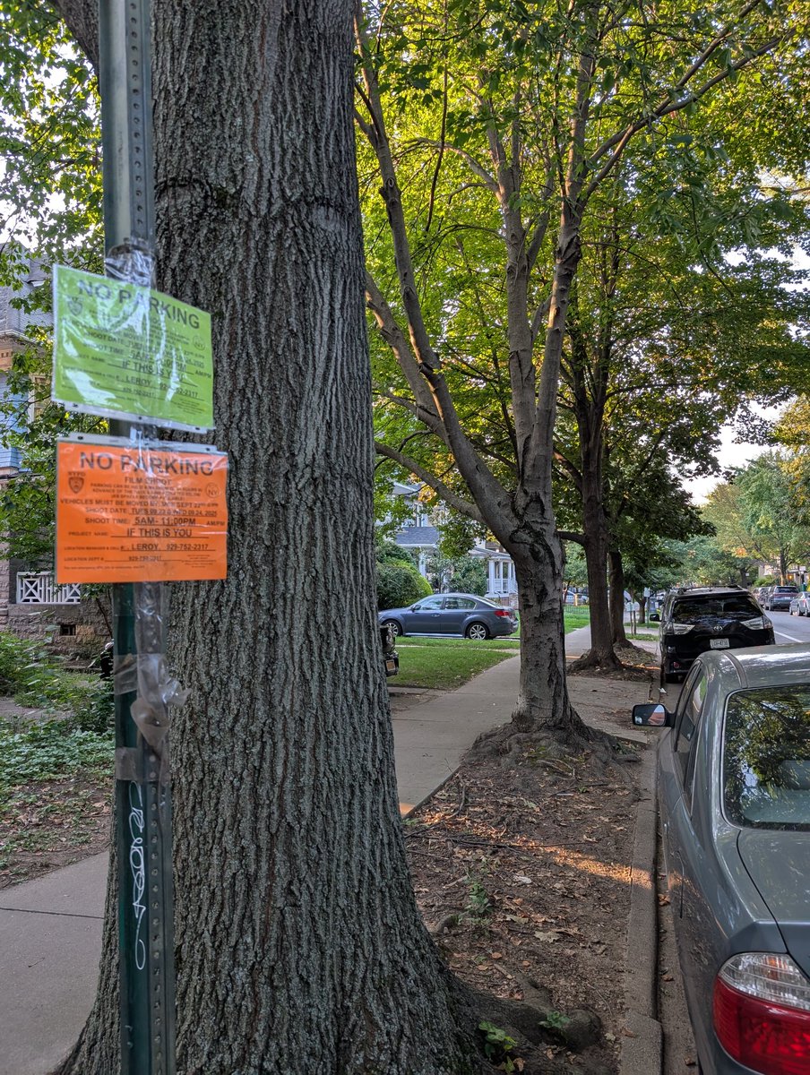 Filming "if this is you" #ifthisisyou
Brooklyn, NY
Rugby Rd and Ditmas Ave
9/23-24/2025
CC: <a href="/olv/">olv</a>
