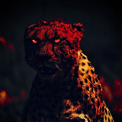 𝓛𝓸𝓿𝓮 tweet media