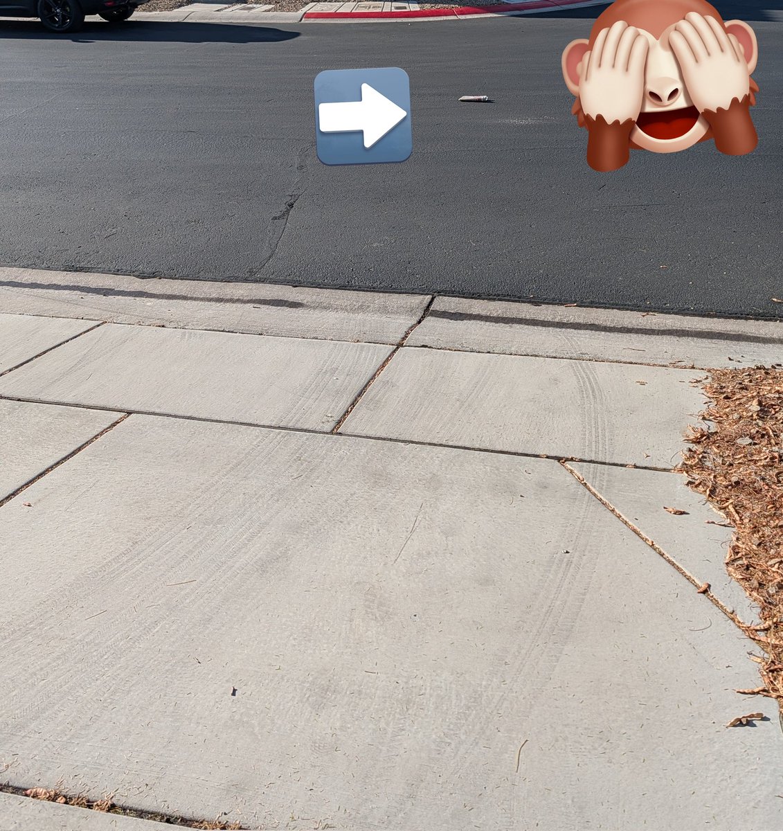 The <a href="/LVRJ/">LVRJ</a> paper almost made it to house for the second Friday in a row. Does it count as home delivery if you have to collect it from the street? Lol.  I know I know I was a weirdo who was trying to support local delivery. Welp. Back to reading my news online