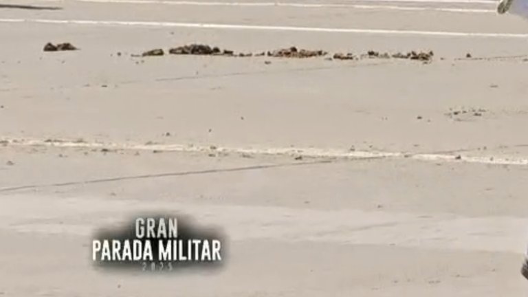 Mari3laPaz's tweet photo. #ParadaMilitar2025 #GloriasDelEjército Merluzo siempre quiere ser protagonista, el en el centro de todo https://t.co/rS44niHPV2