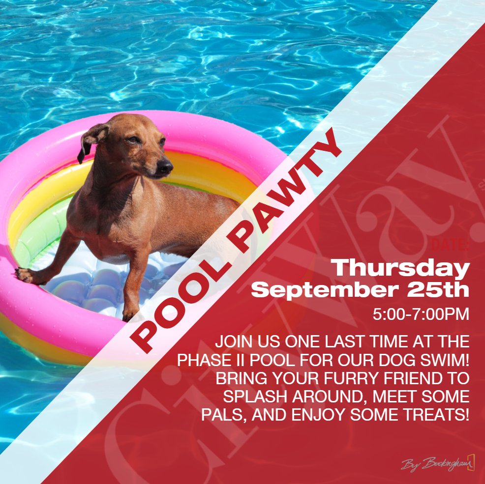 🐾☀️Dive into fun at CityWay's annual dog swim pool pawty! Join us next Thursday 9/25 from 5-7pm as we wrap up pool season with a splash for our furry friends!🐶 #TheCityWay #DogSwim #PoolEvent #IndyEvent