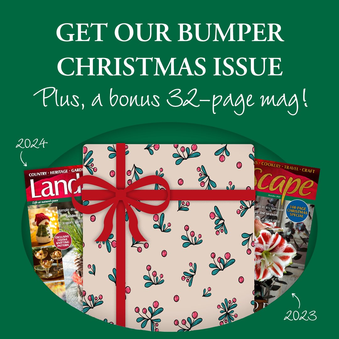 Last chance to get our most cherished issue of the year! Subscribe before 30th September to get your copy of our December bumper issue. PLUS, get a bonus 32-page mag full of Christmas recipes and crafts! ✨
Click here: bit.ly/4mKtosd