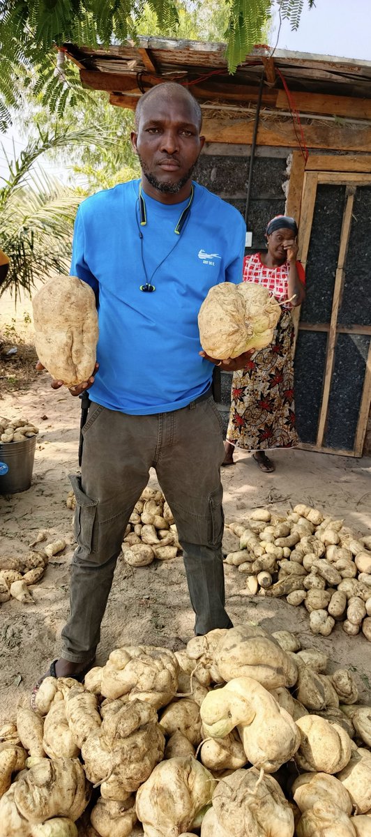 RetsonTedheke01's tweet image. #NigeriaFirst: Importation, The Anchor Borrowers Program and Necessary Clarifications.

I am going to take the time to respond to key wrong premise on importation, The Anchor Borrowers Program, Food Prices and Government Policies,

“Import waiver to import rice &amp;amp; other staple…