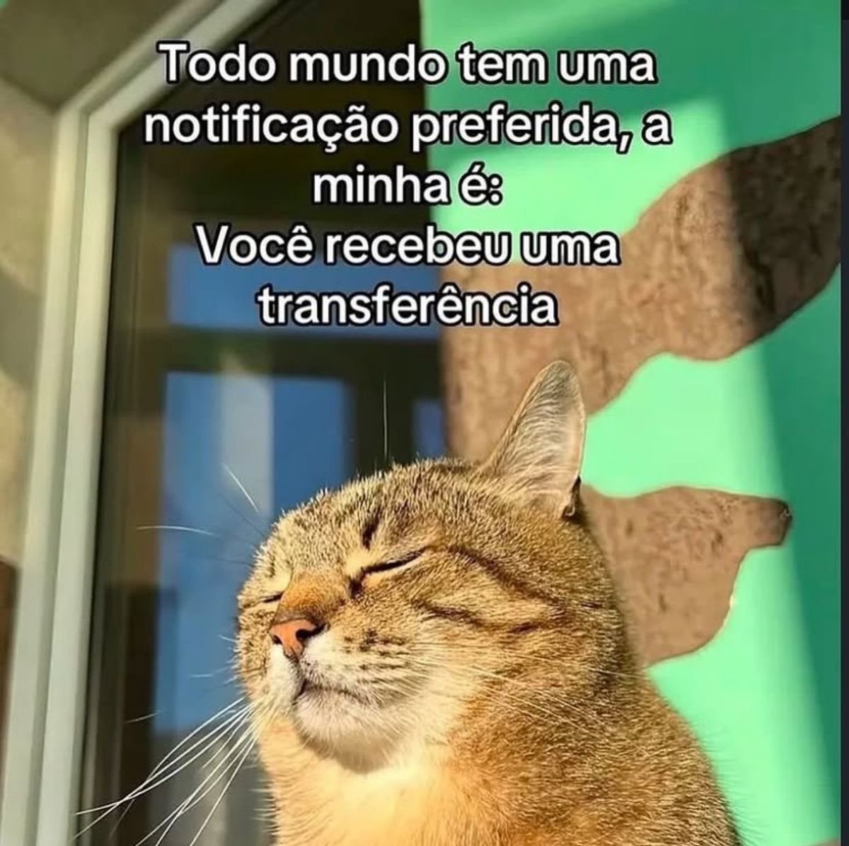 euovitinn's tweet photo. https://t.co/h99NUNS6Tn