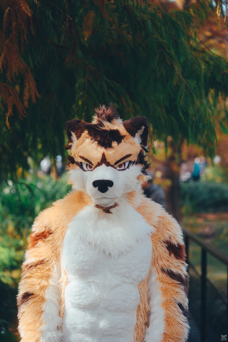 🍃

#FursuitsFriday 
📷：<a href="/VinTheCoyote/">VinTheCoyote（凡凡）</a>