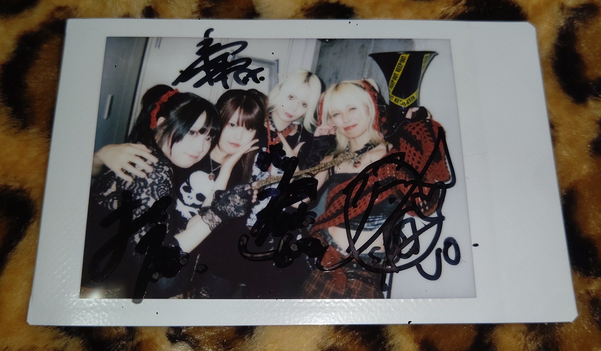 The THIRTEEN チェキ　まとめ売り News[4th Album「Bifröst」ランダムチェキ風カードビジュアル