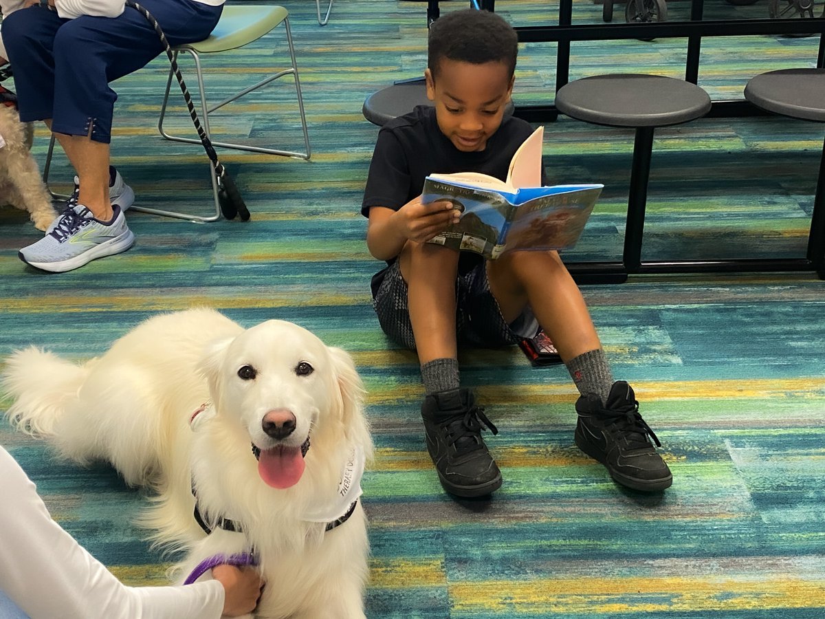 BBCityLibrary's tweet image. Come and read aloud to one of our furry friends from Bonafide Therapy Dogs! Children can practice their literacy skills and gain more confidence in reading by reading aloud to a certified therapy dog. 

Saturday, September 20
1 PM - 2 PM