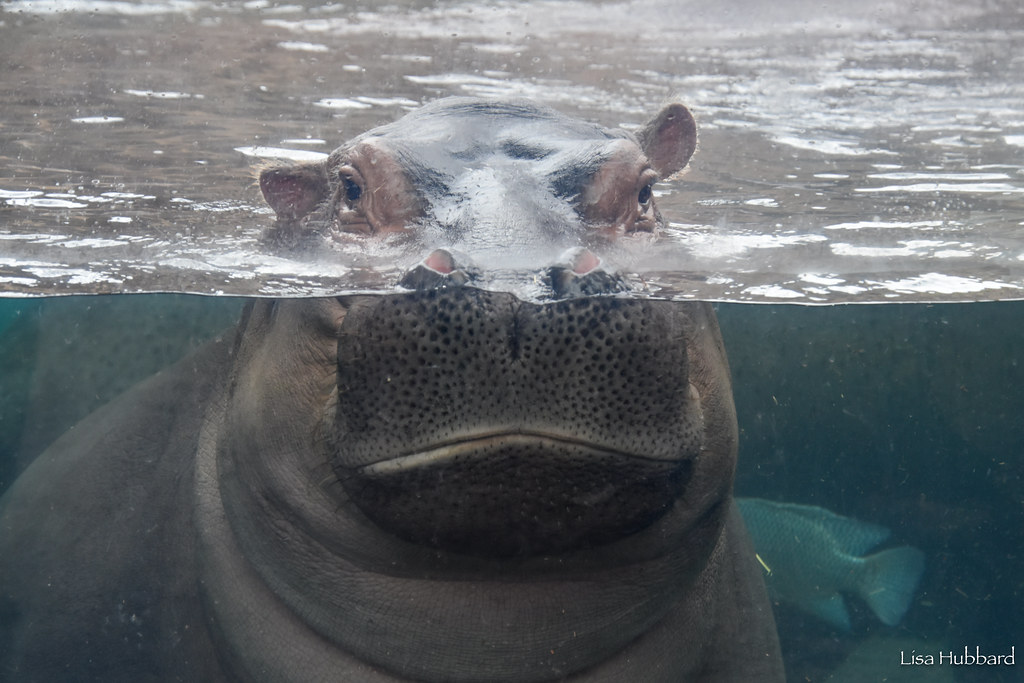 Fiona Friday!! #TGIF